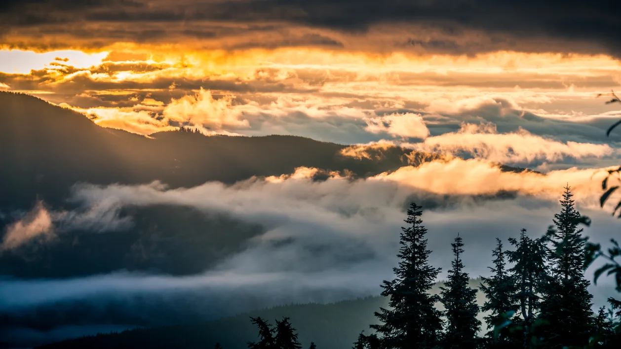 Sjef Camping Mt Seymour